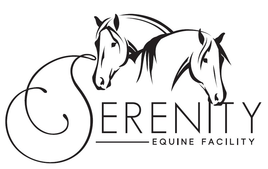 Saddle up for Serenity - $22.50 for one riding lesson, a $45 value