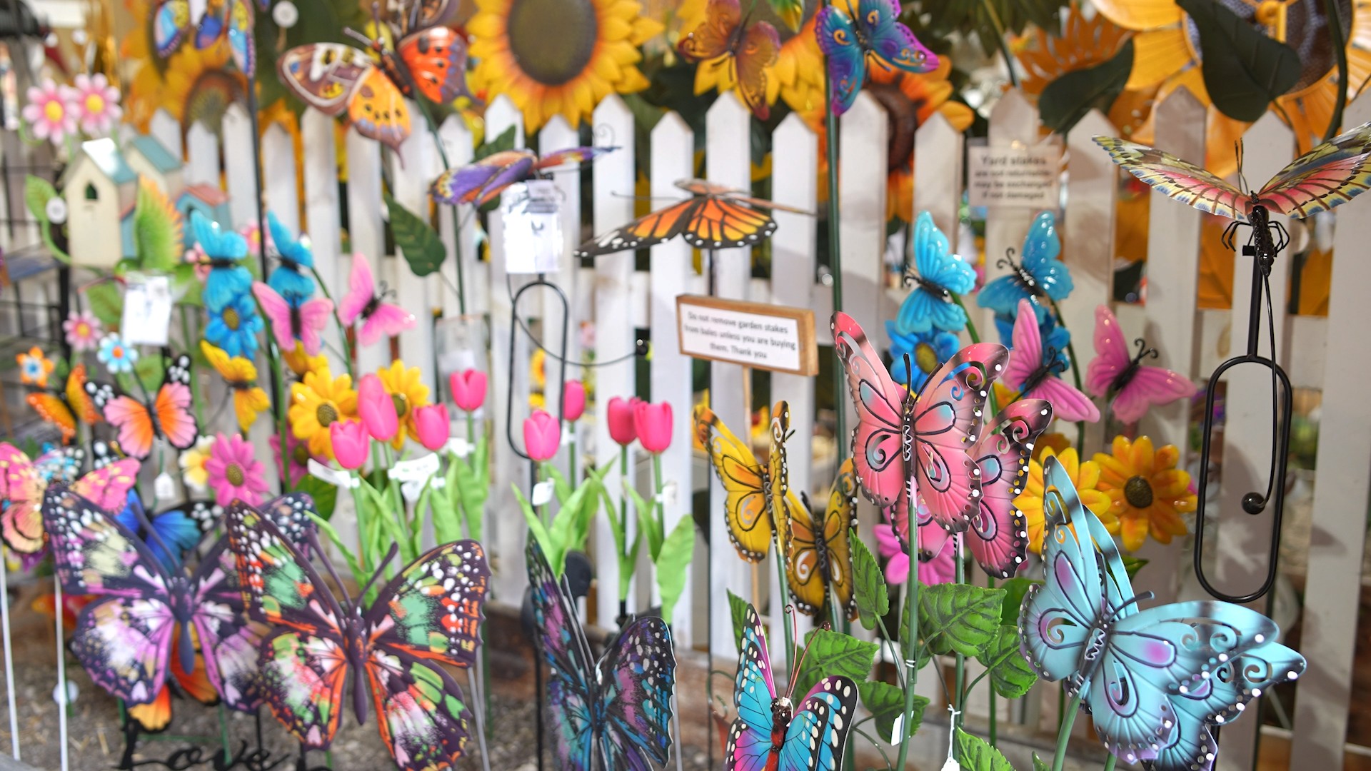 /shared/superadmin/content/images/dynamic/deal/9000261/offer-image-9000261-EqBf4lDgxb-1787856759.jpeg